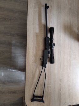 Chiappa - 2