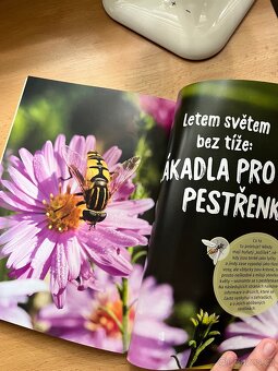 Kniha Sýkorky milují meduňku - 2