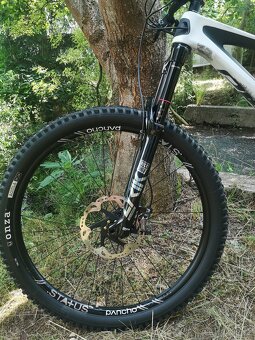 Bold Unplugged V1 (Scott) Axs - 2