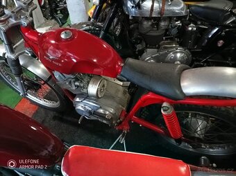 Moto Guzzi Stornello Trial /1970/ - 2