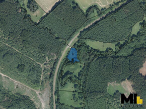 Prodej lesního pozemku o velikosti 1 292 m2 v obci Dolní Kru - 2
