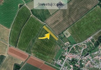 Prodej pole v k.ú. Věžky - 2