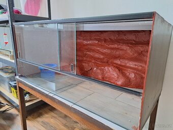 Prodám terarium - 2