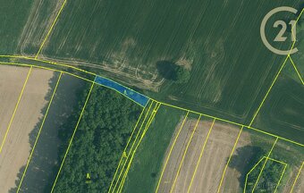 Olešník, zemědělské pozemky, 5 401,85 m2 - 2