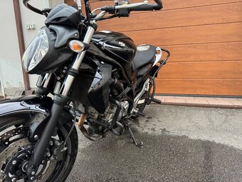 Suzuki Gladius 650 - 2