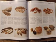 Velká obrazová kuchařka - Dr.Oetker - 2