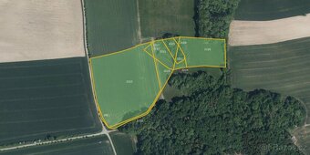 Zemědělská půda, prodej, Očelice, Rychnov nad Kněžnou - 2