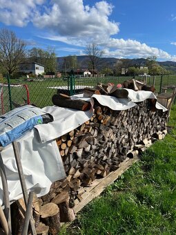Suché tvrdé dřevo - 2