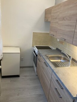 Pronajmu 1+1 v OV 30m2, Bělá pod Bezdězem - 2