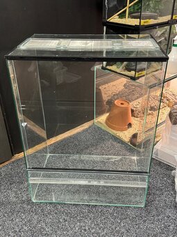 Terarium - 2