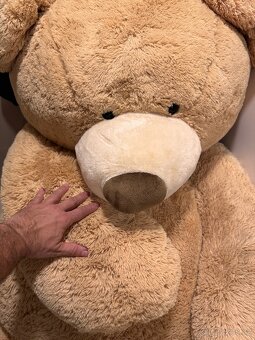 Plyšový medvěd velikost cca 2 metry - 2