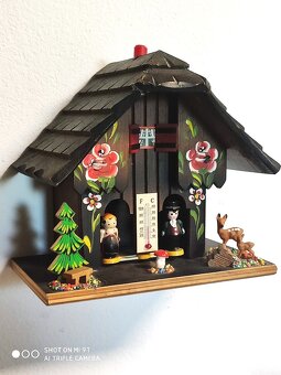 Schwarzwald, kukacky, meteodomecek - 2