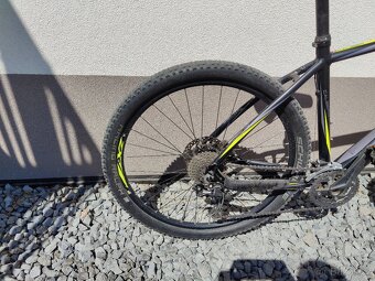 CTM Caliber 1.0 2016 19" - 2