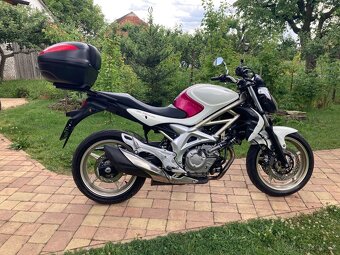 Suzuki SFV 650 Gladius - 2