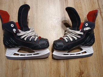 Brusle Bauer Y 13. Vel 32. - 2