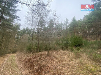 Prodej lesa, 2768 m², Miloňovice - 2
