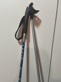 Hůlky na běžky - 2