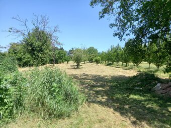 Prodej RD 3+1 s pozemkem 3603 m2 - 2