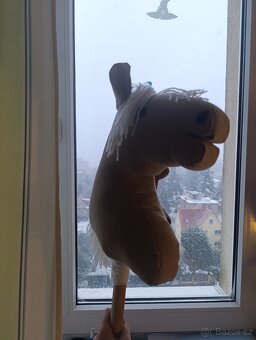 Hobby horse - 2