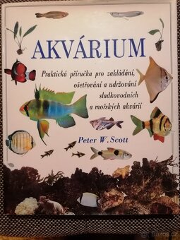 Akvárium - 2