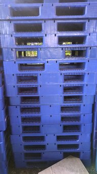 Palety plastové - 2