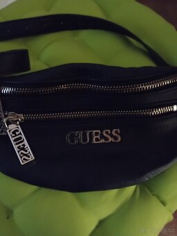 Ledvinka Guess - 2