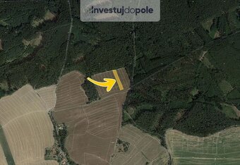 Prodej pole v k.ú. Všekary - 2