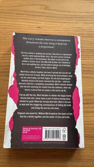 Without Merit – Colleen Hoover - 2