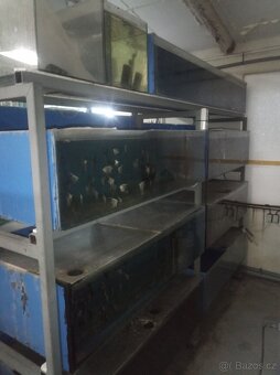 Prodám akvária a vybavení odchovny - 2