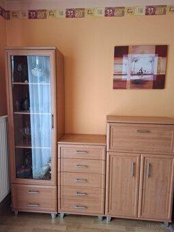 Obývací stěna - 2