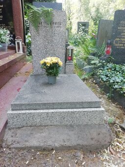 Prodám hrob na Olšanském hřbitově - 2