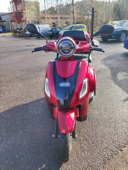 Selvo 31000 Li/Eb - 2