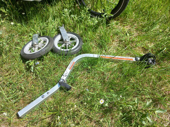 Chariot Cx1 - 2