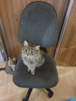 Kancelářská židle - 2