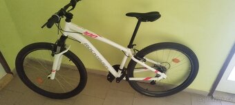 Rock Rider ST100 - 2