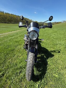 Exkluzivní Triumph Street Scrambler 900 - 2