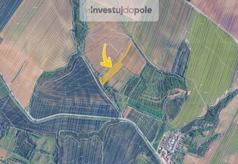 Prodej vinice v k.ú. Mělčany u Ivančic - 2