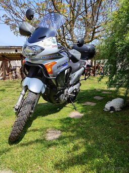 Honda TRANSALP RD11 650 - 2