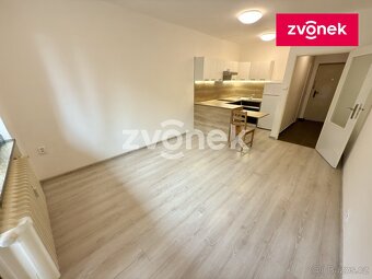 Pronájem krásného bytu 1+kk s výhledem do zeleně - 2