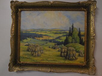 Žně  na Vysočině - 2