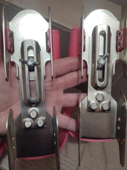 Brusle - kačenky - 2