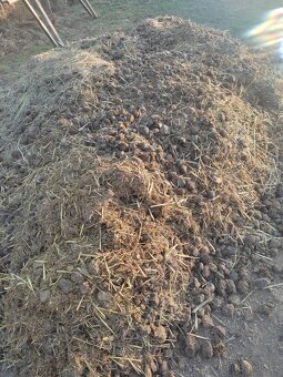 Pytlovaný koňský hnůj do zahrady - 2