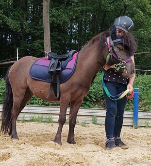 Shetty sedlo, podsedlová dečka, madla - 2