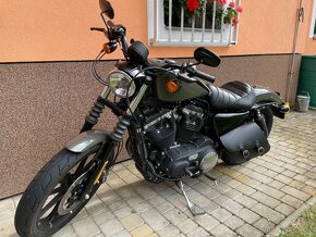 Harley-Davidson XL883N - 2