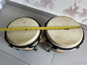 bongo Headliner - 2