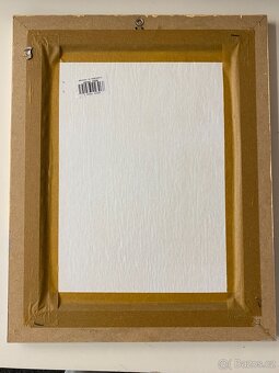 Obraz květina 50 x 40 cm - 2