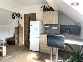 Pronájem bytu 1+kk, 24 m², Bratrušov - 2