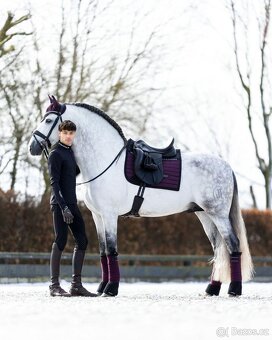 Podsedlova decka Equestrian Stockholm Black Raven - 2