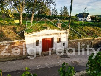 Schrattenberg historický sklep s lisem 67m2 - 2