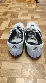 Boty Adidas pro bojové sporty - 2